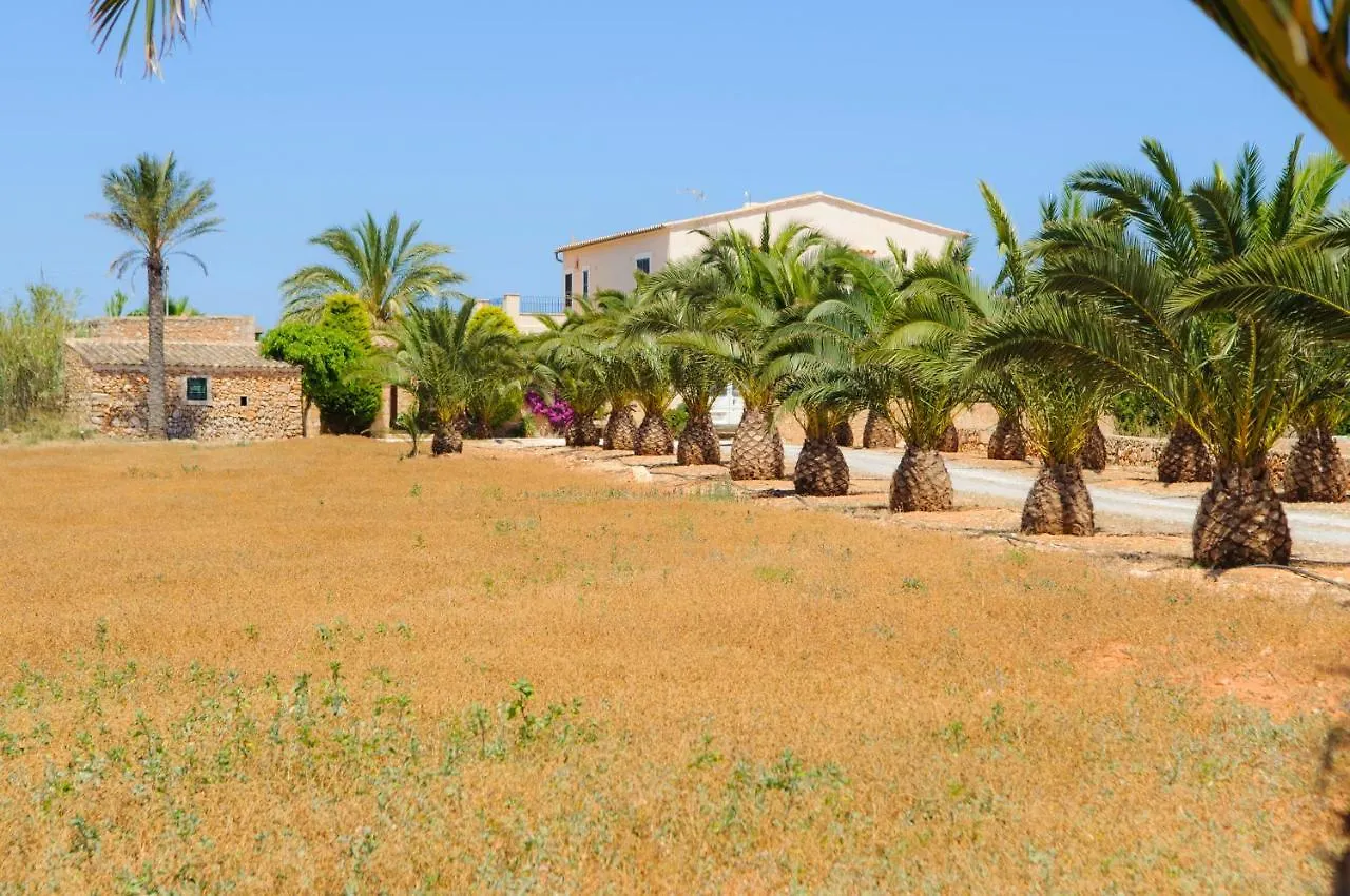 Finca Hort Can Veritat 칼라 페레라 스페인